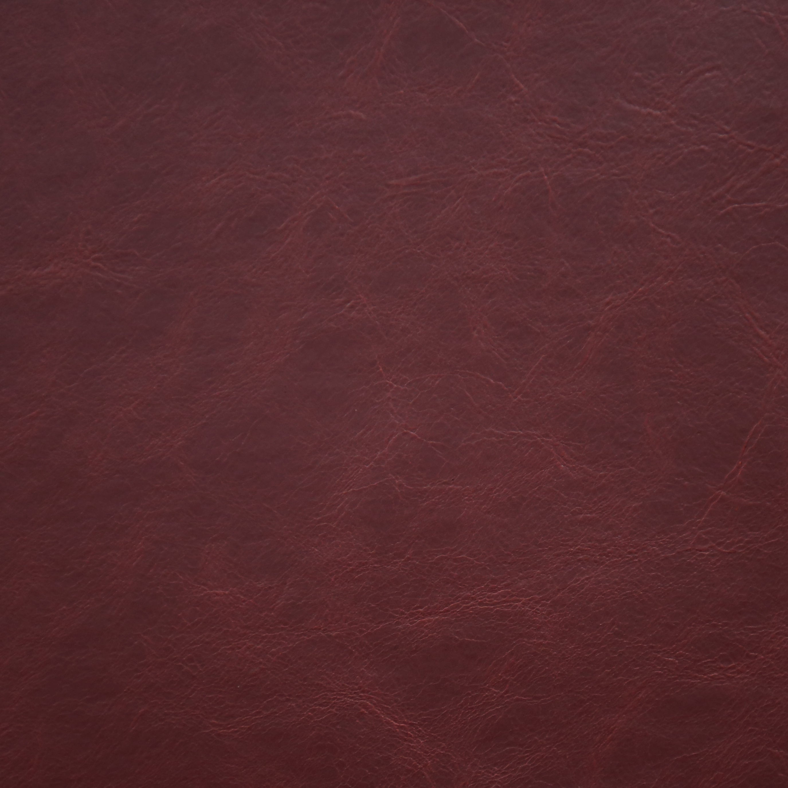 Bryce-Raisin_9211-10-PU.jpg?v=