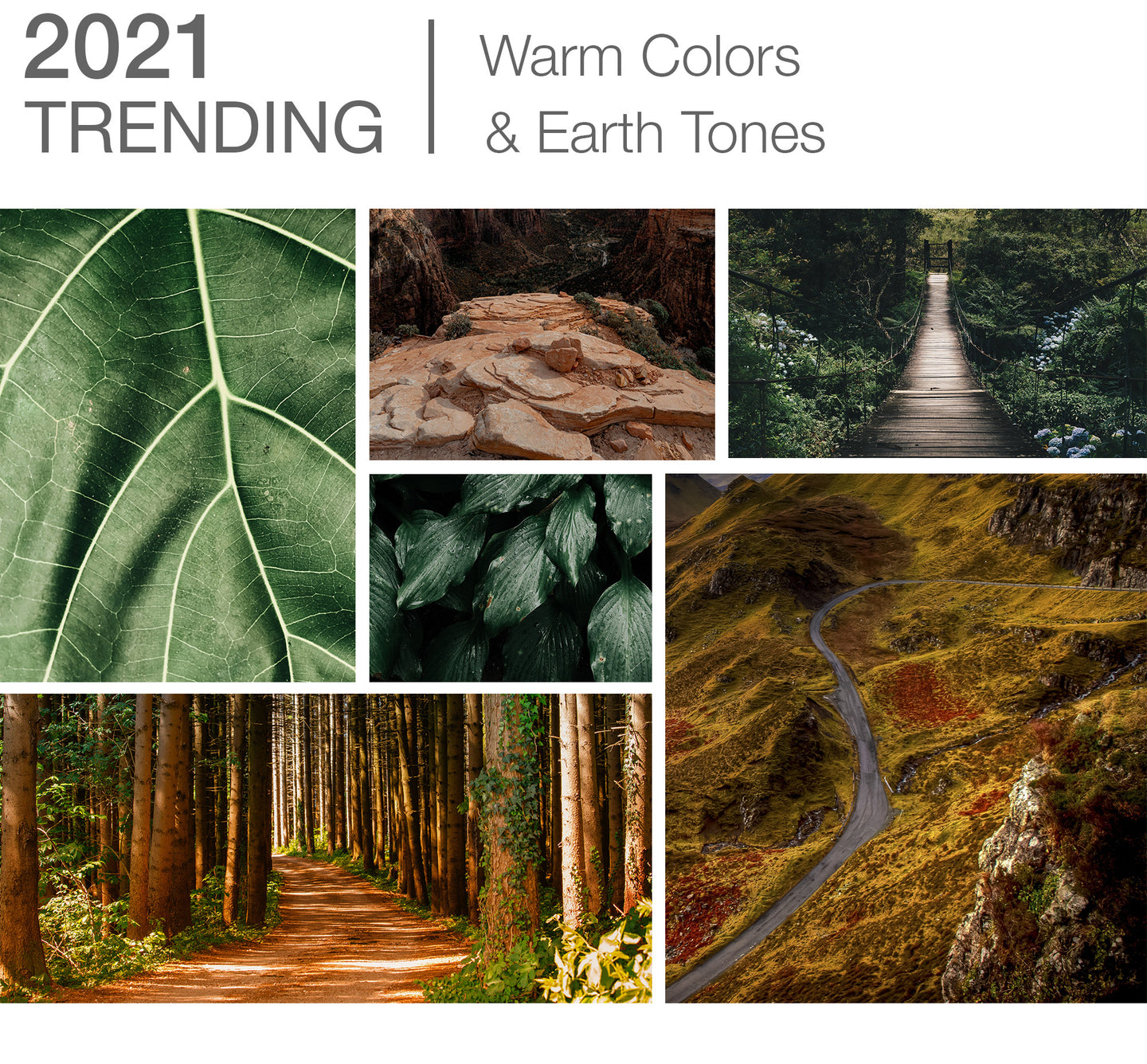 Design Trend: Warm Colors + Earth Tones