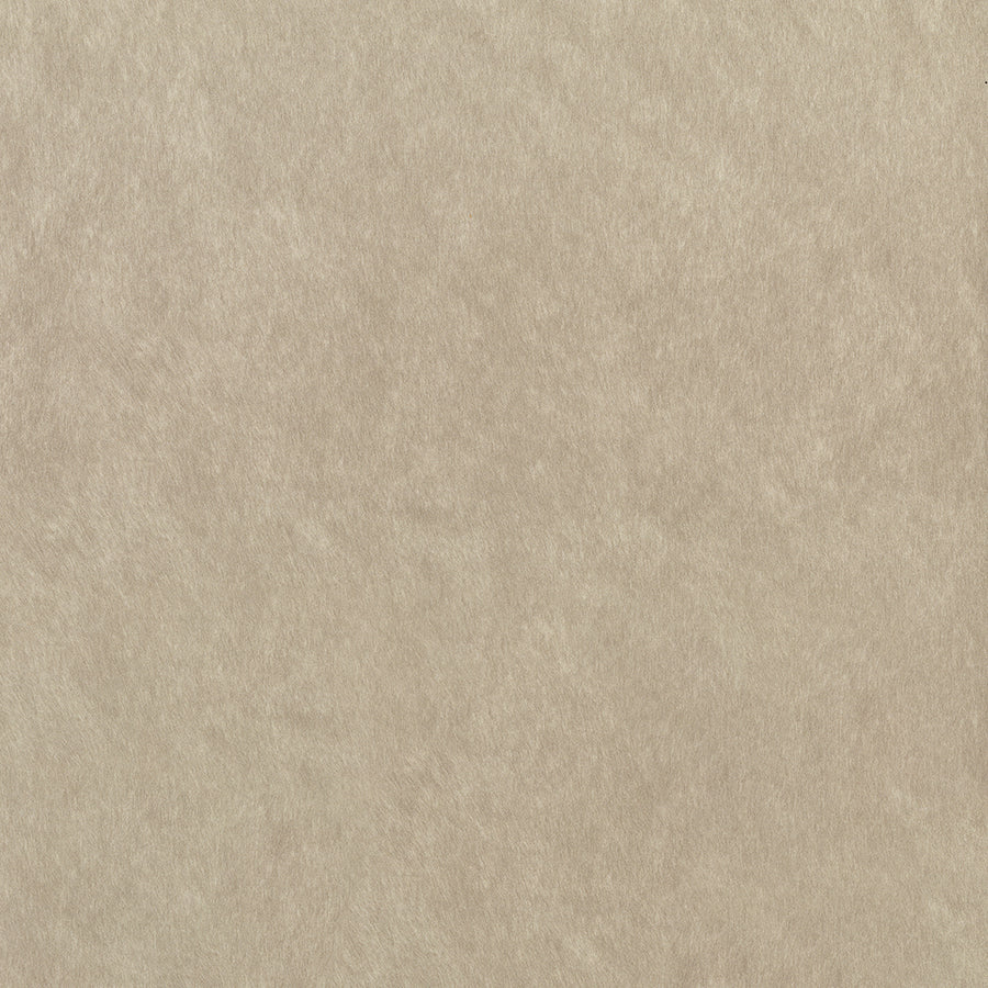 Windfall-Upholstery Fabric-Stucco