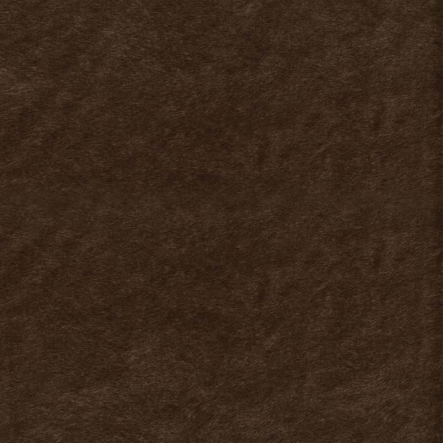 Windfall-Upholstery Fabric-Java