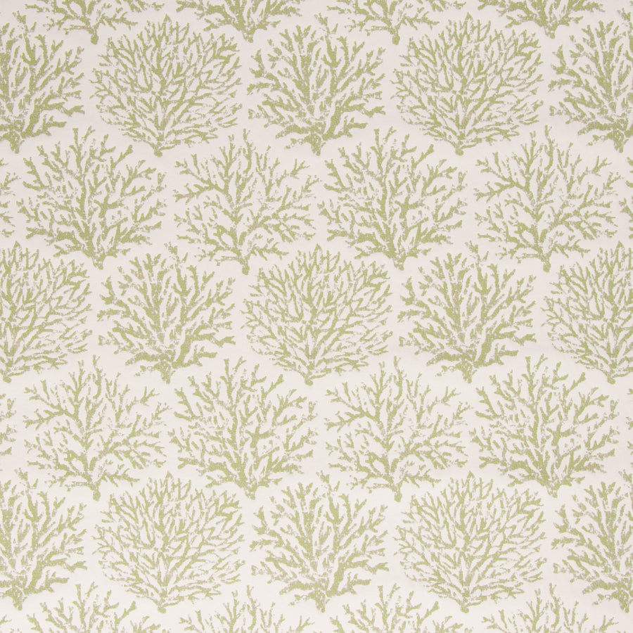 Coral Beach-Indoor/Outdoor Upholstery Fabric-Meadow